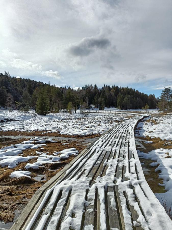 Casa Aprica Piste Da Sci Baradelloアパートメント エクステリア 写真